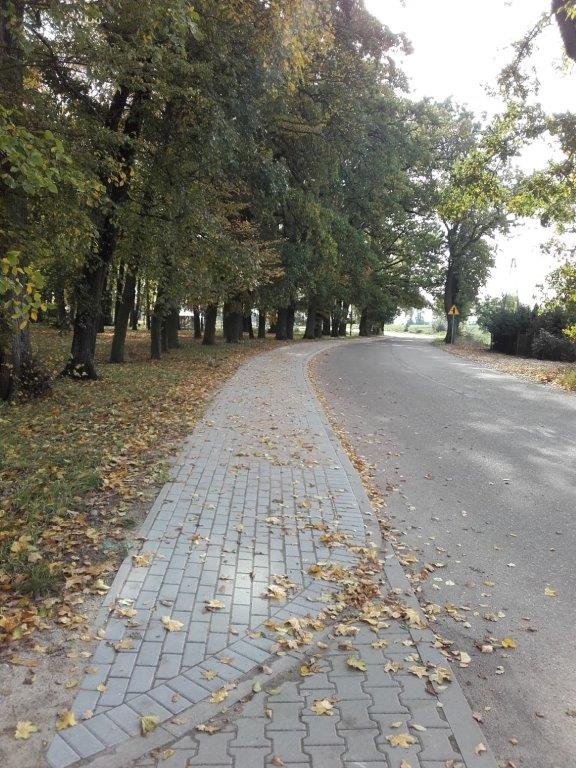 Droga przez Frącę, po lewej jesienny park, na środku ciąg chodnika z kostki brukowej