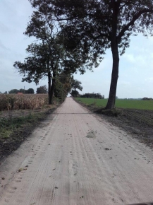 Droga pomiędzy polami uprawnymi wykonana z płyt jumbo