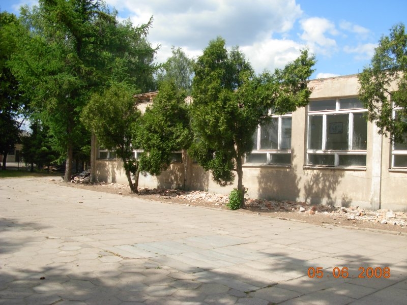 Pawilon ZKiW oraz drzewa rosnące blisko ścian budynku
